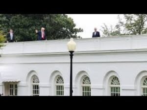 Leia mais sobre o artigo Trump mentally spiraling – a tarot reading