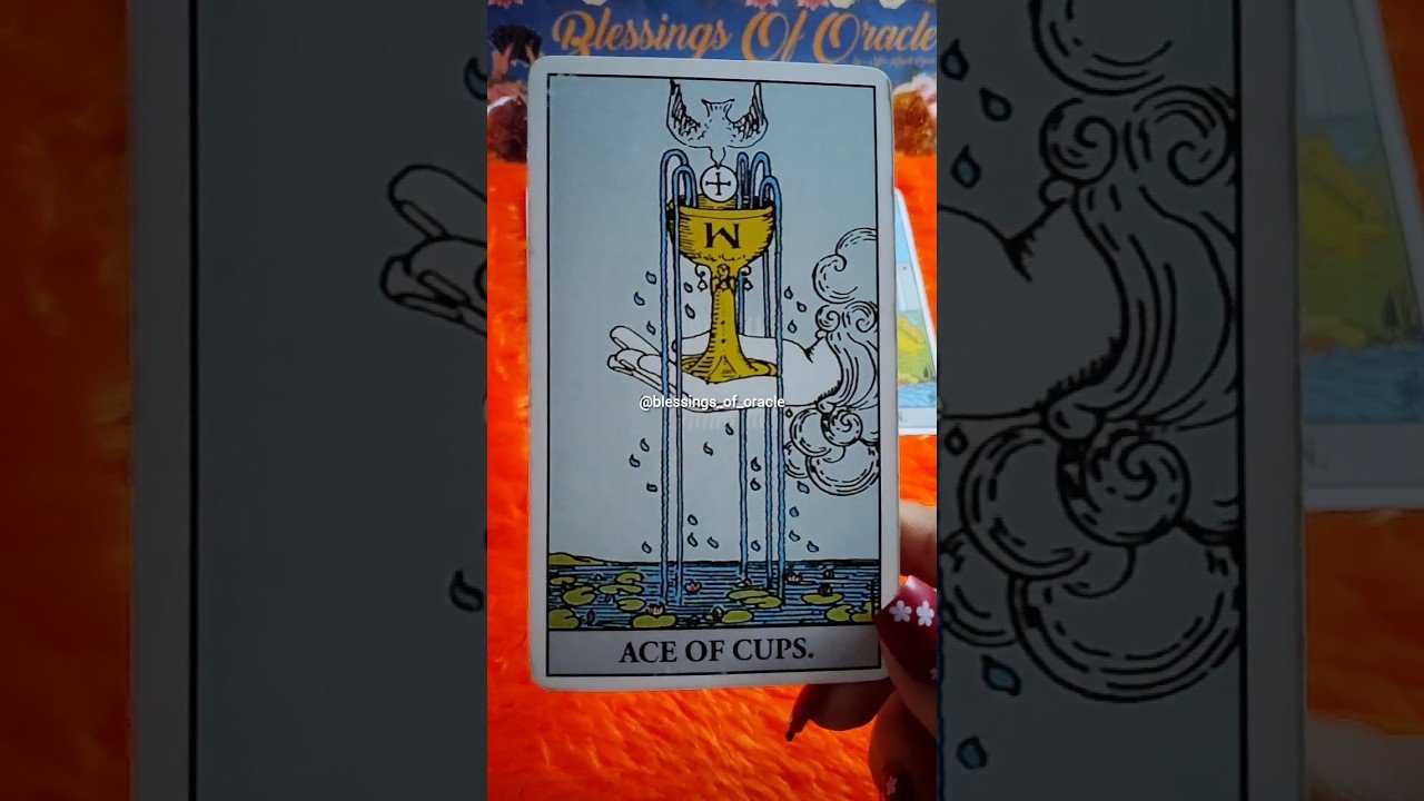 No momento, você está visualizando Whats Coming Next!#blessingsoforacle #tarot #tarotreading #youtubeshorts #ytshorts #results #anxiety