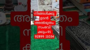 Leia mais sobre o artigo ഈ ശക്തിയിൽ നിങ്ങൾ വിശ്വസിക്കുന്നുവോ? അത്ഭുതം സംഭവിക്കും#tarot #tarotreading #familyvlog #shots