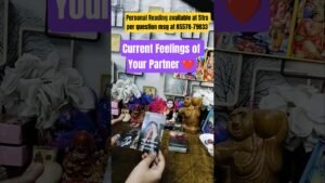 Leia mais sobre o artigo ❤️ Current Feelings of Your Partner ❤️ #tarot #hinditarot #currentfeelings #nocontact #shorts#viral