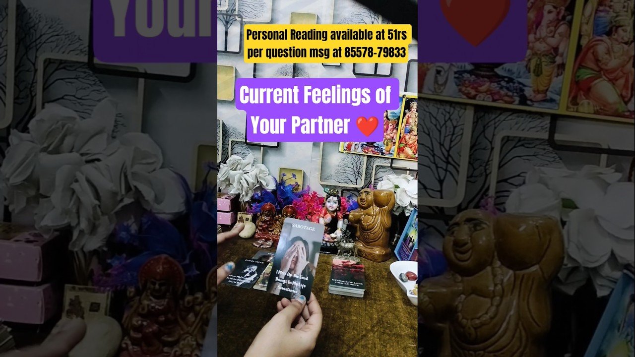 No momento, você está visualizando ❤️ Current Feelings of Your Partner ❤️ #tarot #hinditarot #currentfeelings #nocontact #shorts#viral