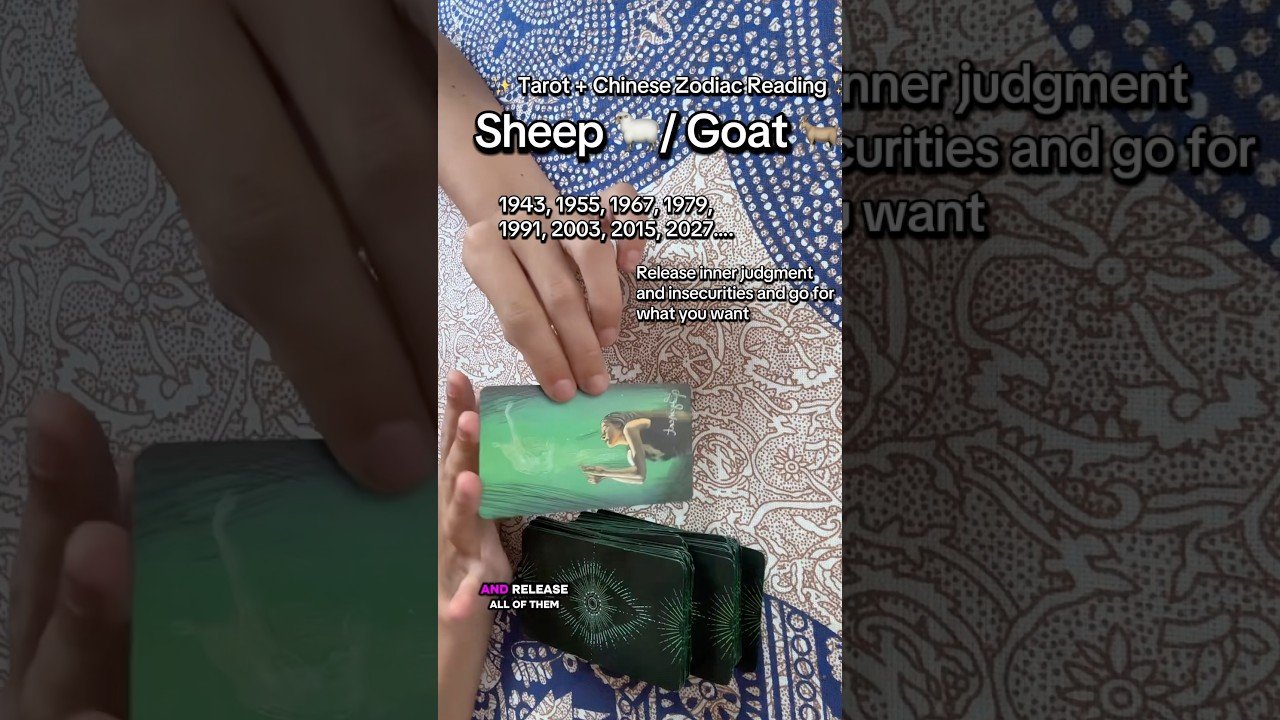 No momento, você está visualizando ✨ Tarot + Chinese Zodiac Reading ✨ #tarot #sheep #goat #chinesezodiac