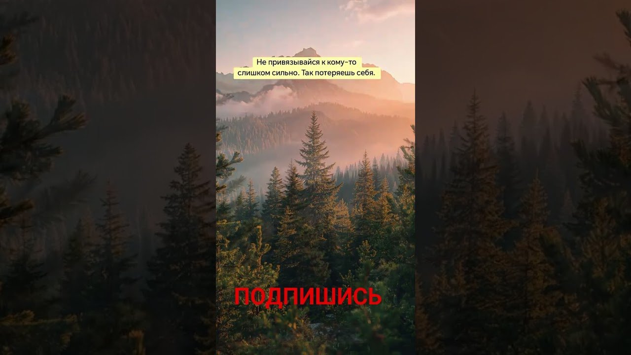 No momento, você está visualizando #2025 #таро #таросила #психология #гадание #shorts #tarot #подпишись #жизнь #деньги #работа