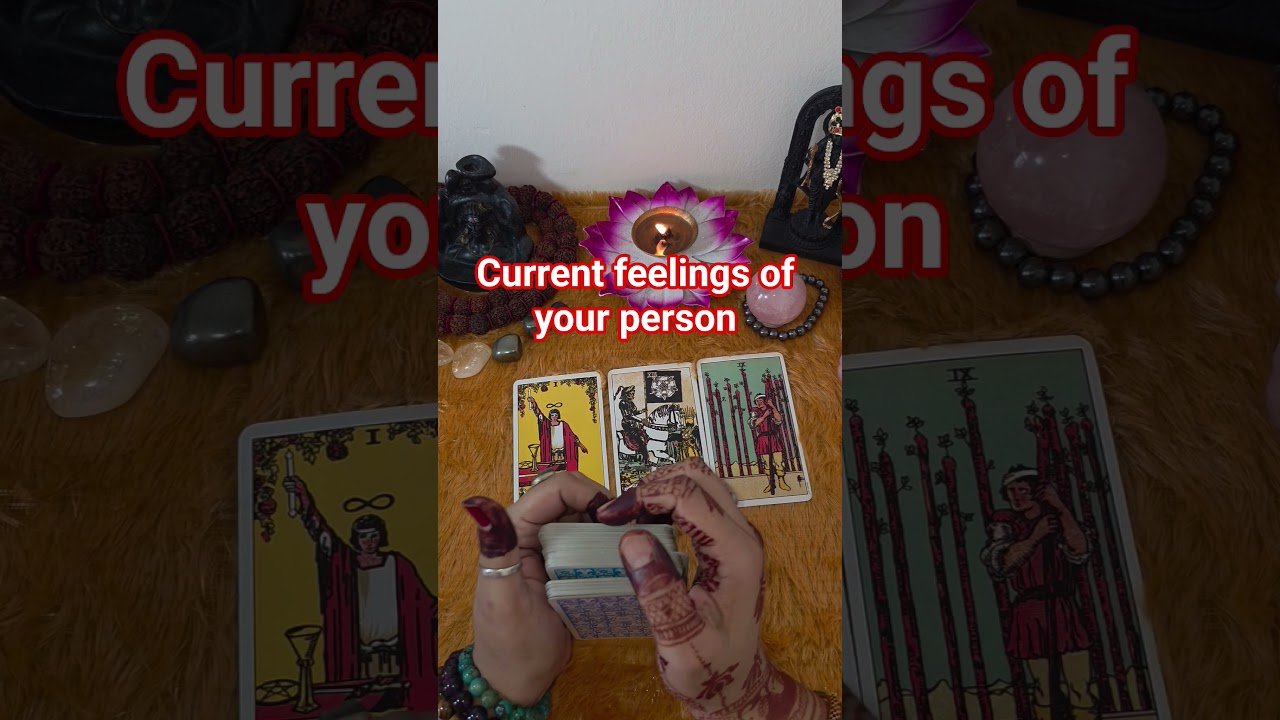 No momento, você está visualizando aap ke partner ki current feelings