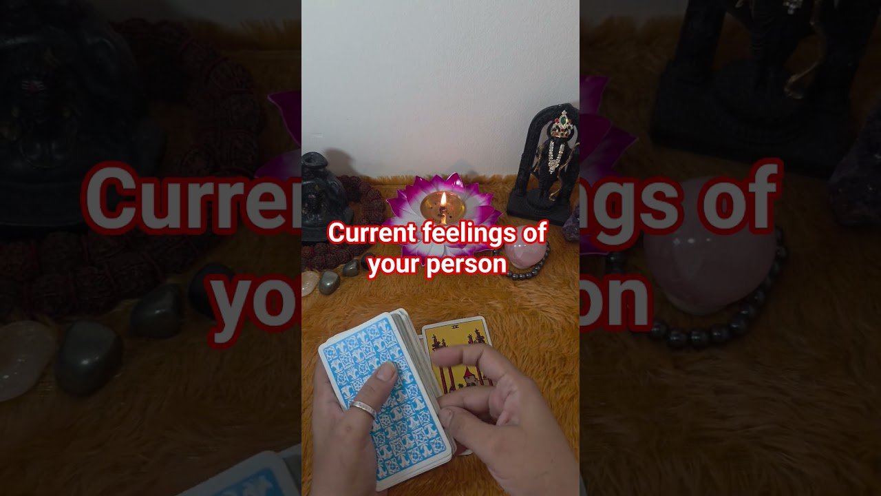 No momento, você está visualizando aap ke partner ki current feelings