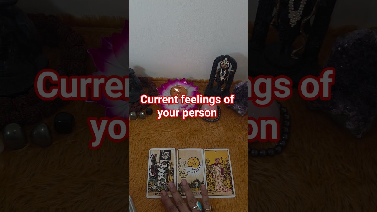 No momento, você está visualizando aap ke partner ki current feelings