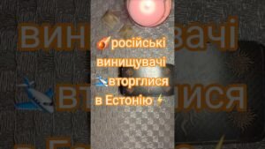 Leia mais sobre o artigo ☄️Російські носії ракет “Кинжал” вдерлися в Естонію. Повторення ескалації.💥 #tarot