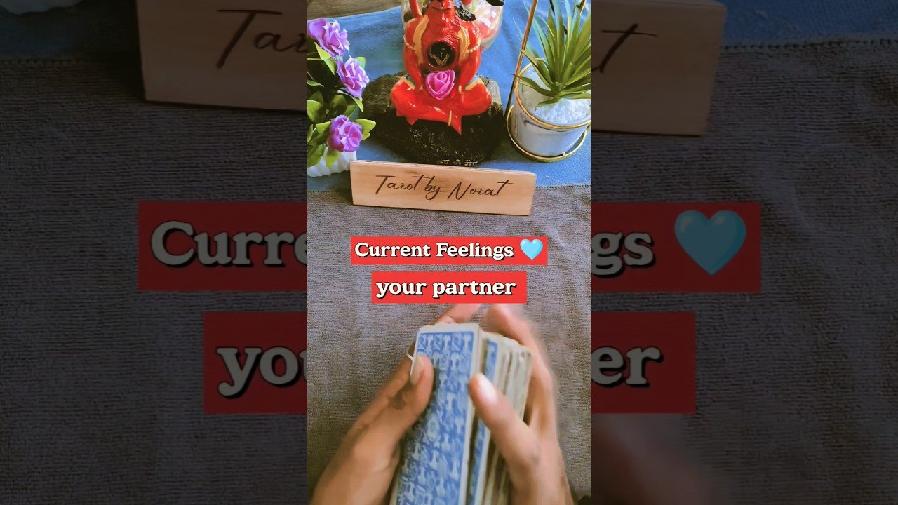 No momento, você está visualizando Current Feelings ❤️ | Pick a Card 🔮 | Tarot by Norat #CurrentFeelings #PickACard #TarotByNorat