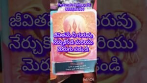 Leia mais sobre o artigo Devi దేవతలు మీకు ఇస్తున్న ఆశీర్వాదాలు #devotionalsongs #tarot #astrology #youtubeshorts #taro