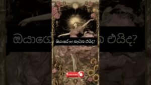 Leia mais sobre o artigo 🥺💖ඔයාගේ ex නැවත එයිද? angle messages💌|@TheTarotVersion888|ex tarot reading Sinhala 💫