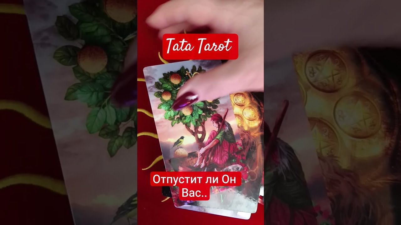 No momento, você está visualizando Отпустит ли Он Вас 😳♥️🔥 #таро #эзотерика #обряды #tarot #таросила #таролог #талисмантаро
