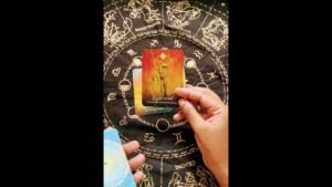 Leia mais sobre o artigo Divine Spirit Animal Message ✨ Tarot Prediction ✨