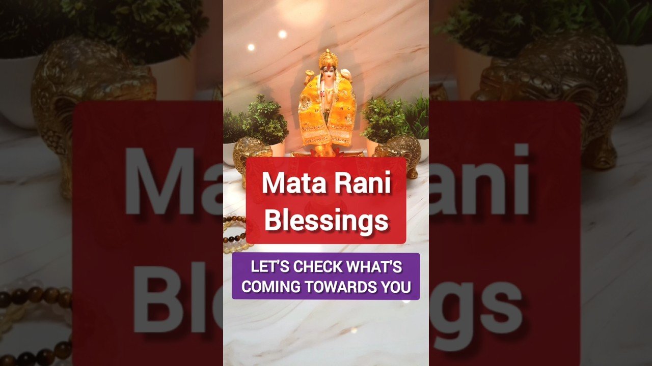 No momento, você está visualizando Mata Rani Blessings 🌹 #mataraniblessings #tarot #tarotreading #tarotreader #tarotshorts #viralshorts