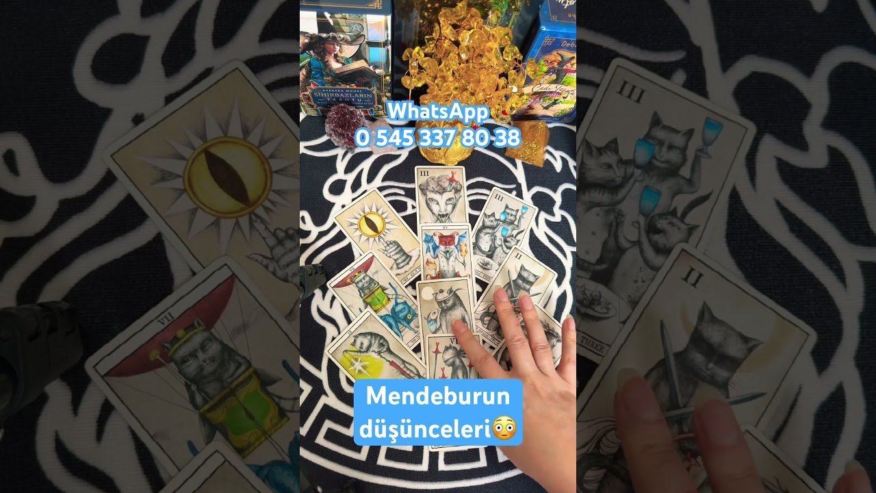 No momento, você está visualizando MENDEBURUN DÜŞÜNCELERİ😳 #viral #tarot #tarotreadi #tarotreading #tarotcaards #tarotenerjiyorumu
