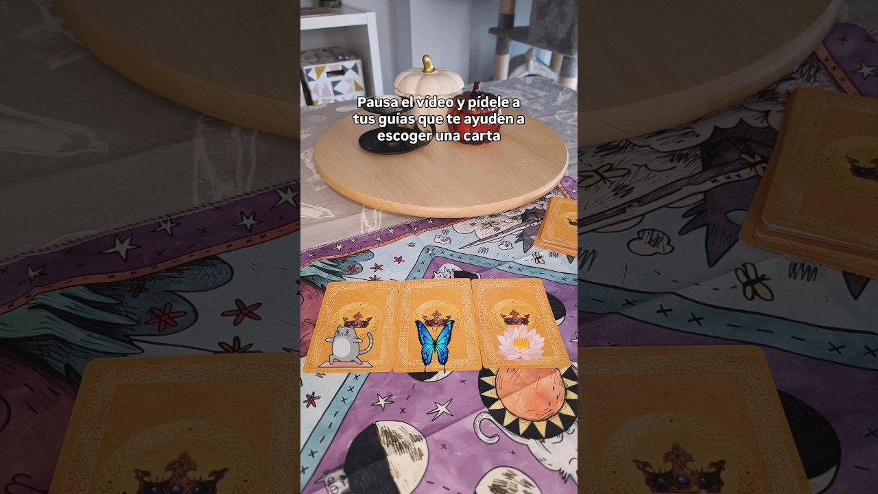 No momento, você está visualizando Mensaje del oráculo de las diosas 👸🏻#oraculo #tarot #lecturadetarot