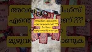 Leia mais sobre o artigo #next48hoursaction #astrologychart #currentfeelingsofyourpartnerin48hours #tarot #nocontactreading