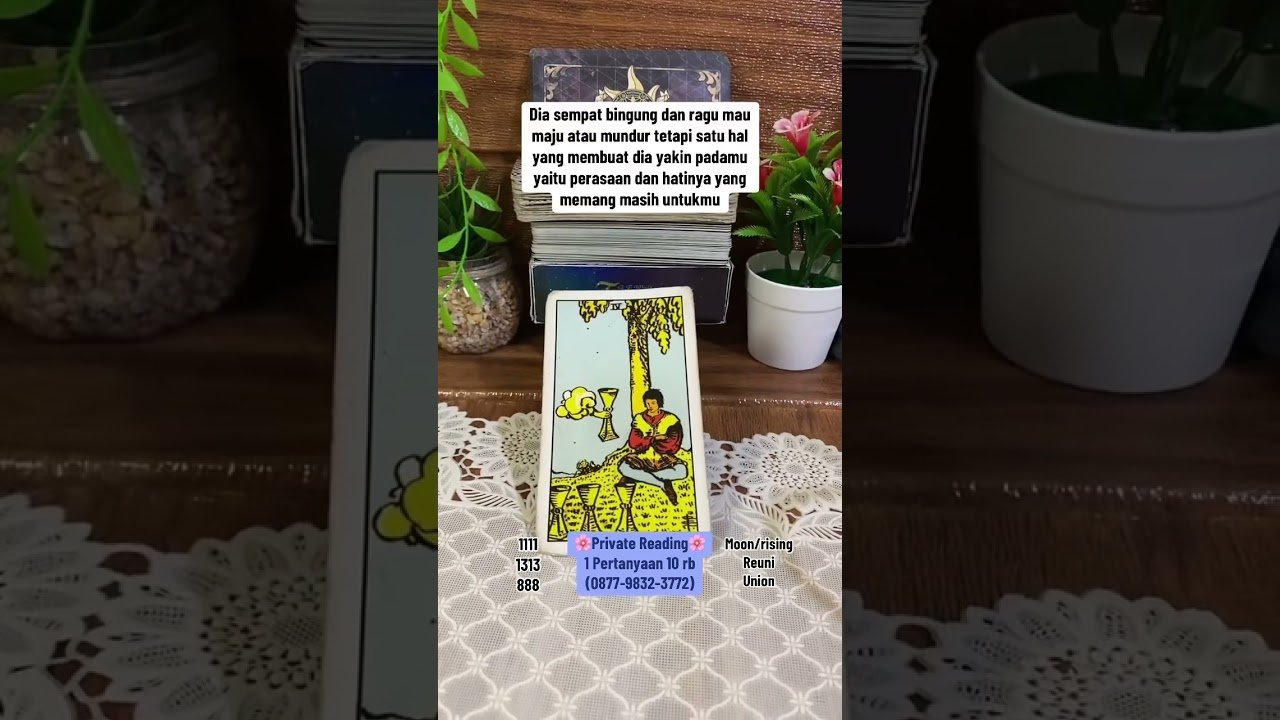 No momento, você está visualizando Private Reading Tarot 10 rb #tarot #tarotreading #tarotcaards #tarotreader #tarotreader