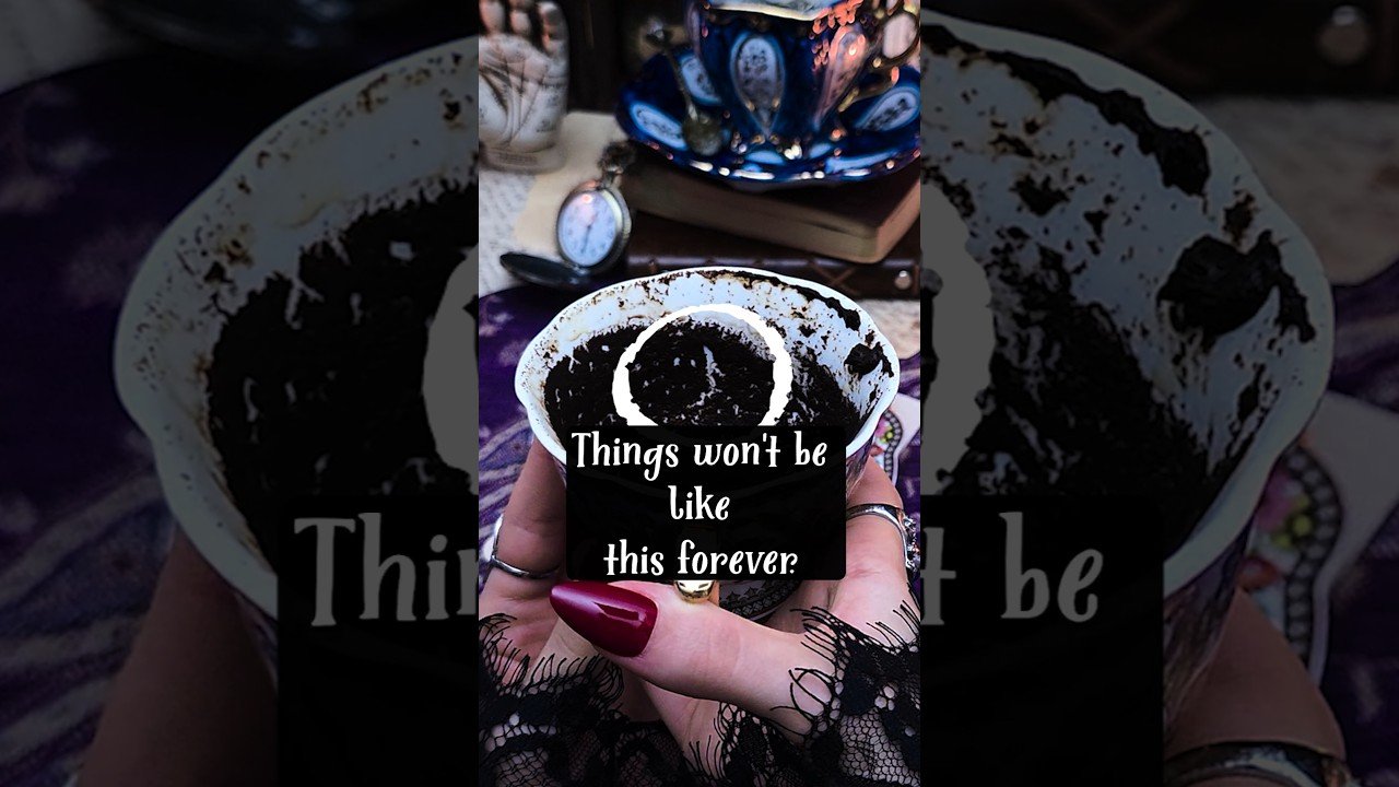 No momento, você está visualizando Soon, your light will start attracting those who walk beside you  #tarot #tarotreading