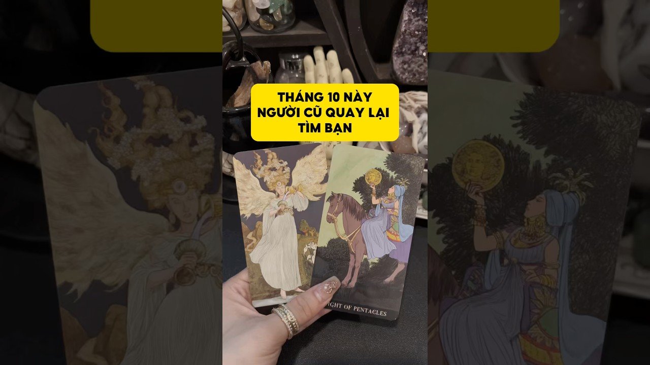 No momento, você está visualizando Tháng 10 này, người cũ quay lại tìm bạn #tarot #duongtarot #tarotvietnam #tarotonline #tinhyeu