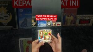 Leia mais sobre o artigo YANG DIA RASAKAN KEPADAMU SAAT INI #tarot #tarotreading