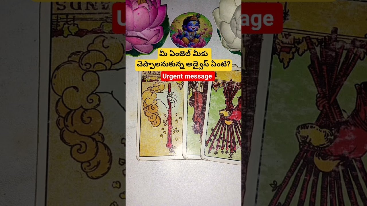 No momento, você está visualizando మీ ఏంజెల్ మీకు చెప్పాలనుకున్న అడ్వైస్ ఏంటి? #dailytarot #tarot #tarotcaards #tarotreadi #fortune