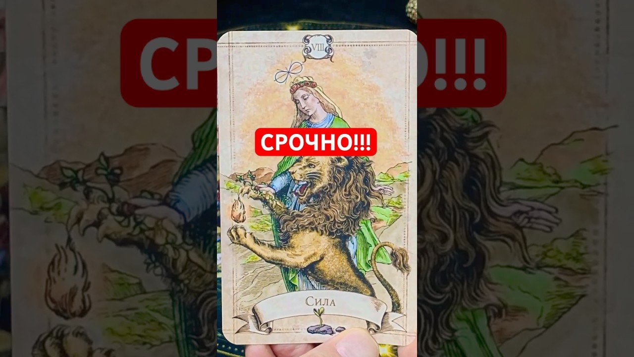 No momento, você está visualizando Тебе хотят передать! ✨ Расклад Таро Гадание #tarot #таролог