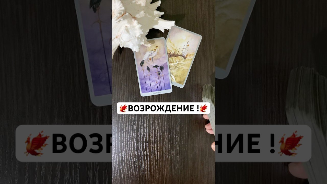 No momento, você está visualizando Таро❤️‍🔥С Минуты на Минуту !