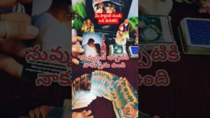 Leia mais sobre o artigo మీ పార్టనర్ నుండి వచ్చే లవ్ మెసేజ్ #tarot