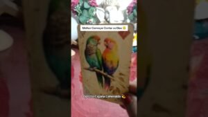 Leia mais sobre o artigo 🚨 JOGADA DA VIDA E MEDITAÇÃO #tarot #leituradetarot #baralhocigano #amor #justiçadedeus #verdade #fy