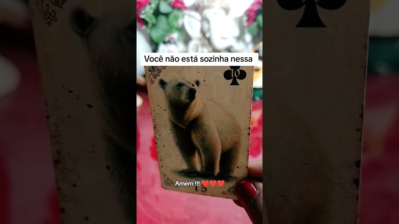 No momento, você está visualizando 🚨 JOGADA DA VIDA E MEDITAÇÃO #tarot #leituradetarot #baralhocigano #amor #justiçadedeus #verdade #fy