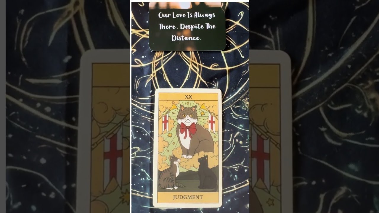 No momento, você está visualizando ❤️ Trotz Distanz – eure Liebe ist noch da! Tarot zeigt, was jetzt passiert!