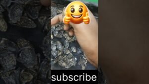 Leia mais sobre o artigo #লেডিস আংটি#viral #shortfilm #tarot #ytshorts #subscribetomychannel