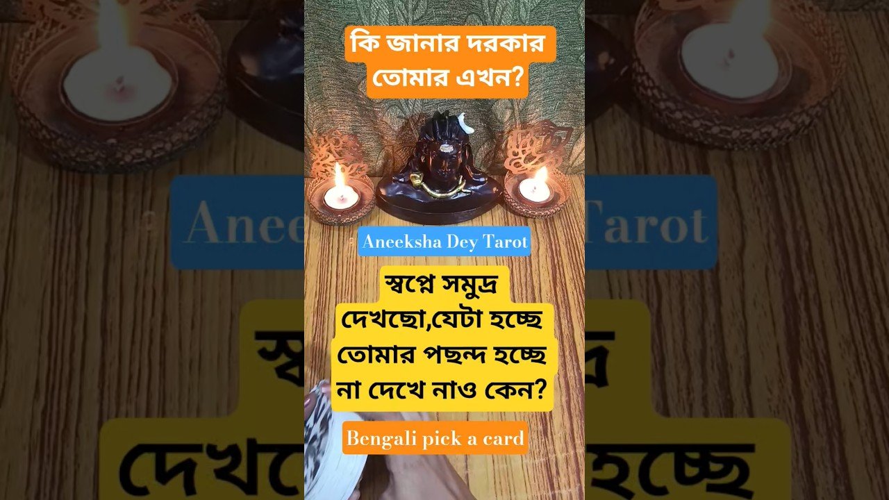 No momento, você está visualizando কি হচ্ছে এই সময়ে? #shorts #tarot #new #bangla #aneekshadeytarot #dream #viral #prediction #future