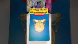Leia mais sobre o artigo మీ అయ్యెస్ట్ సెల్ఫ్ మీకేం చెప్పాలనుకుంటున్నారు #dailytarot #tarot #tarotcaards