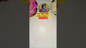 Leia mais sobre o artigo మీరు వెళ్తుంది రైట్ పాతేనా (దారేనా) ? #tarot #guardianangelreadingcards #tarotcaards