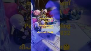 Leia mais sobre o artigo സ്നേഹമാണ് പക്ഷേ #malayalamtarotreading #tarot #tarotreading #relationship #nocontactreading #reunion