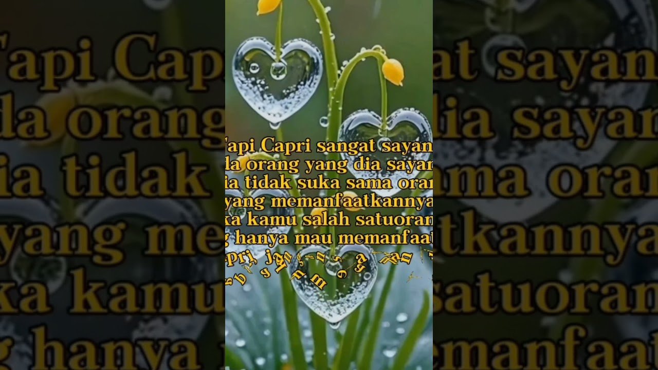 No momento, você está visualizando Capricorn si kambing gunung #astrology #zodiakara #zodiac #tarot #beranda #belajartarot