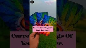 Leia mais sobre o artigo Current Feelings Of Your Partner #tarot #tarotreading #shorts