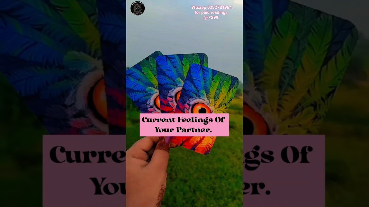No momento, você está visualizando Current Feelings Of Your Partner #tarot #tarotreading #shorts