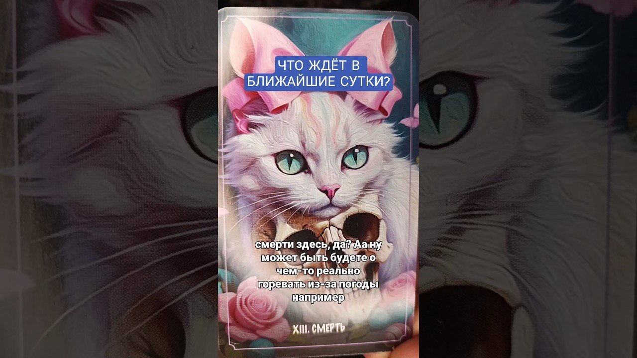 No momento, você está visualizando ЭТИ СУТКИ #онитаро #таро #онлайгадание #tarot #гадания #гадание #онлайнтарогадание #таролог #карты