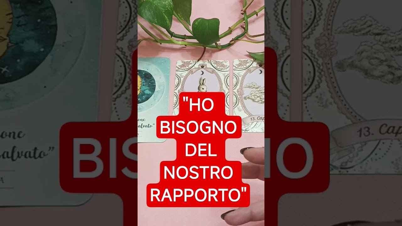 No momento, você está visualizando I SUOI PENSIERI ADESSO🔮 (LETTURA COMPLETA👇🏻) #tarocchi #tarot #itarocchidicristy #tarotreading