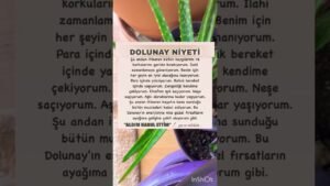 Leia mais sobre o artigo Niyet ettim..!#burçyorumları #burçlar #astrology #tarot #haber #gündem #öneçıkar #kesvet #keşfet