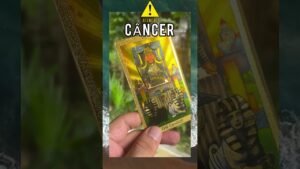 Leia mais sobre o artigo O SINAL QUE VOCÊ PEDIU🔮