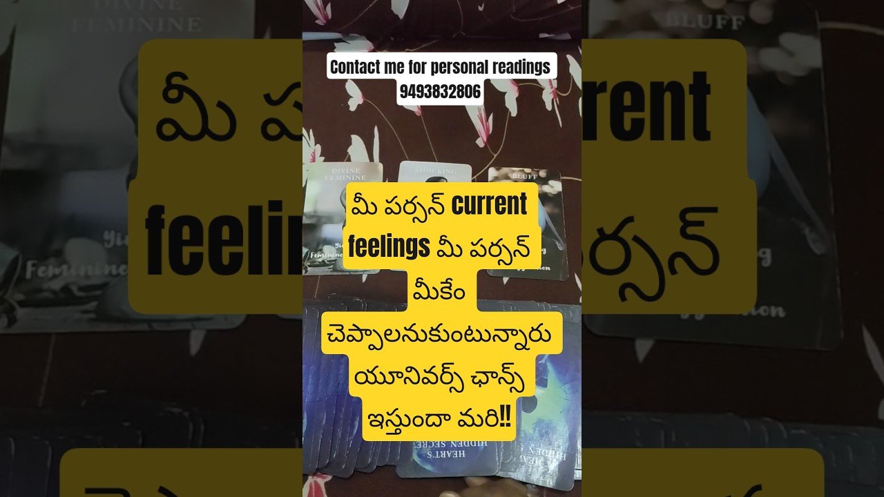 No momento, você está visualizando October #tarot #lifeisbutadream #tarotreading #twinflame #tarotreader #youtube #viralvideo