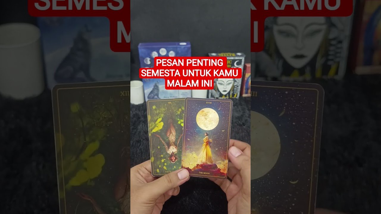 No momento, você está visualizando PESAN PENTING SEMESTA UNTUK KAMU MALAM INI #tarot #tarotreading