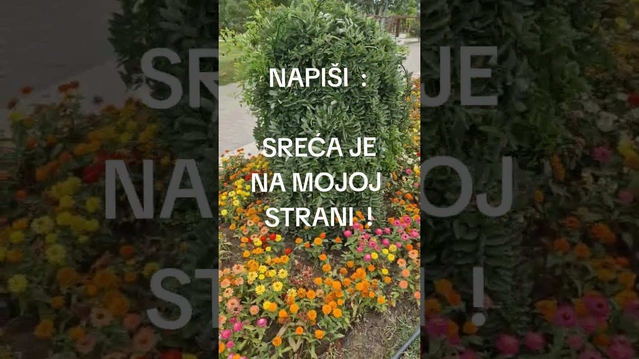 No momento, você está visualizando POZITIVNA PORUKA DANA ZA TEBE 🧡 ENERGIJA SREĆE I DOBITKA ASTRO TAROT HOROSKOP BLIC LJUBAV