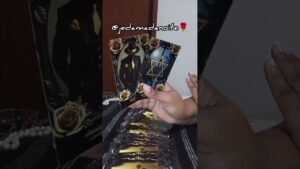 Leia mais sobre o artigo Recado pra você #tarot #deustemumapalavrapravoce #caminhoparaumavidamelhor #damadanoite