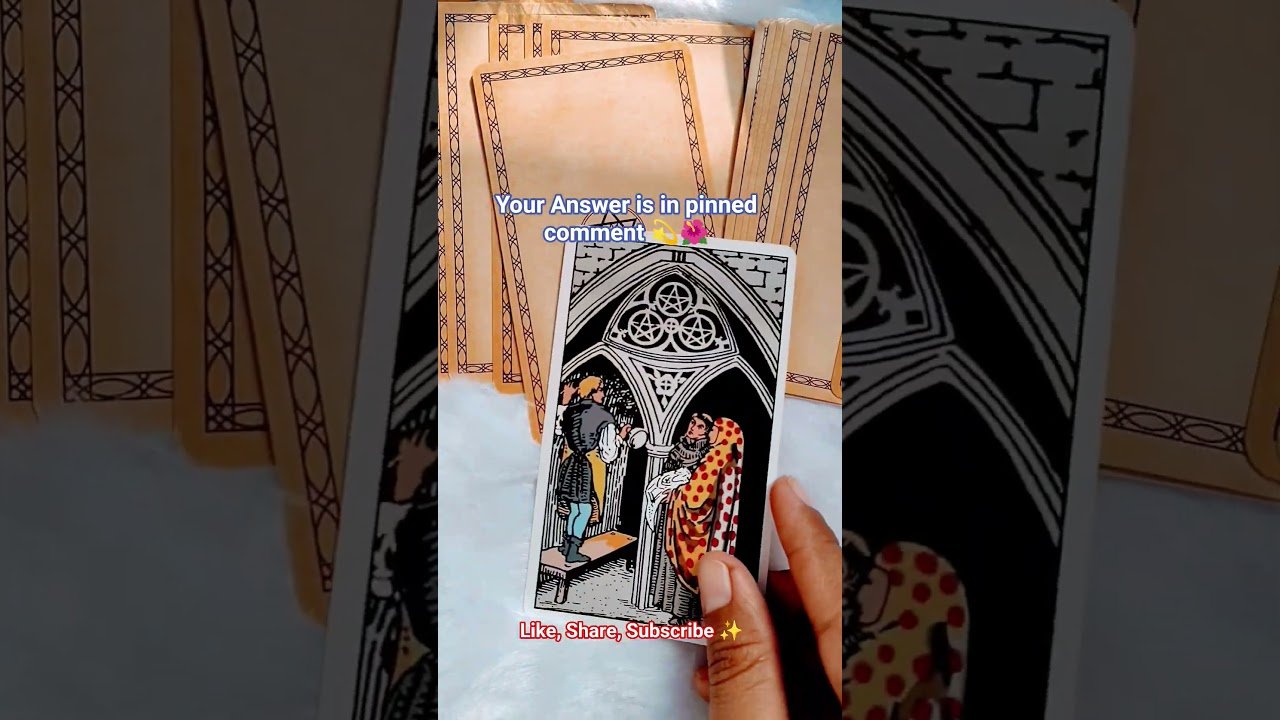 No momento, você está visualizando Relationship Reading 🌺✨ #timelessreading #tarot #bollywood #next48hoursaction #viralvideo