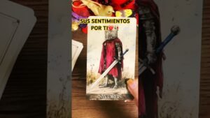 Leia mais sobre o artigo SUS SENTIMIENTOS POR TI #tarot #amor #tarotamornuevo #tarotdiario #lecturacartas