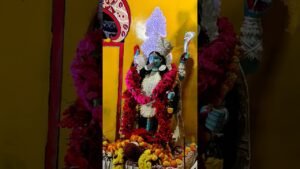 Leia mais sobre o artigo #tarot #bengalitarotreading #tarotreading #kalipujospecial